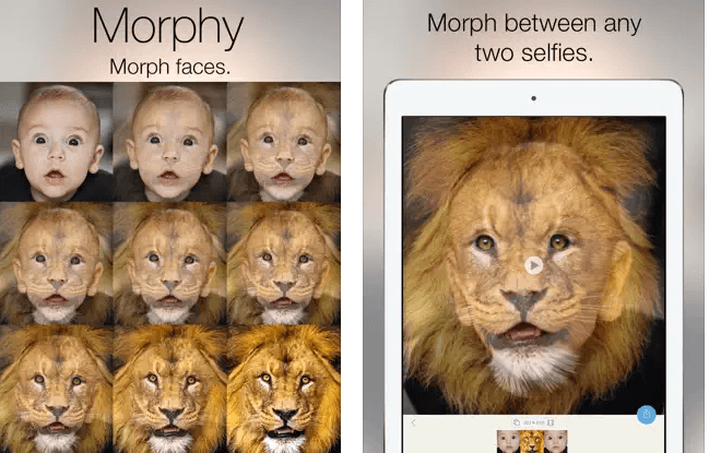 Morphy - Time-Lapse Morphing Tool