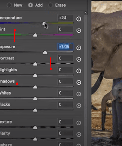 Adjust the temperature, highlights, shadows, clarity, texture, and other settings