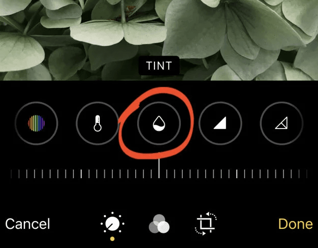 Tap the Tint icon