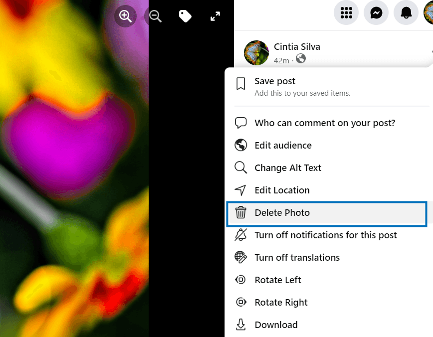 Choose Delete Photo from the options listed