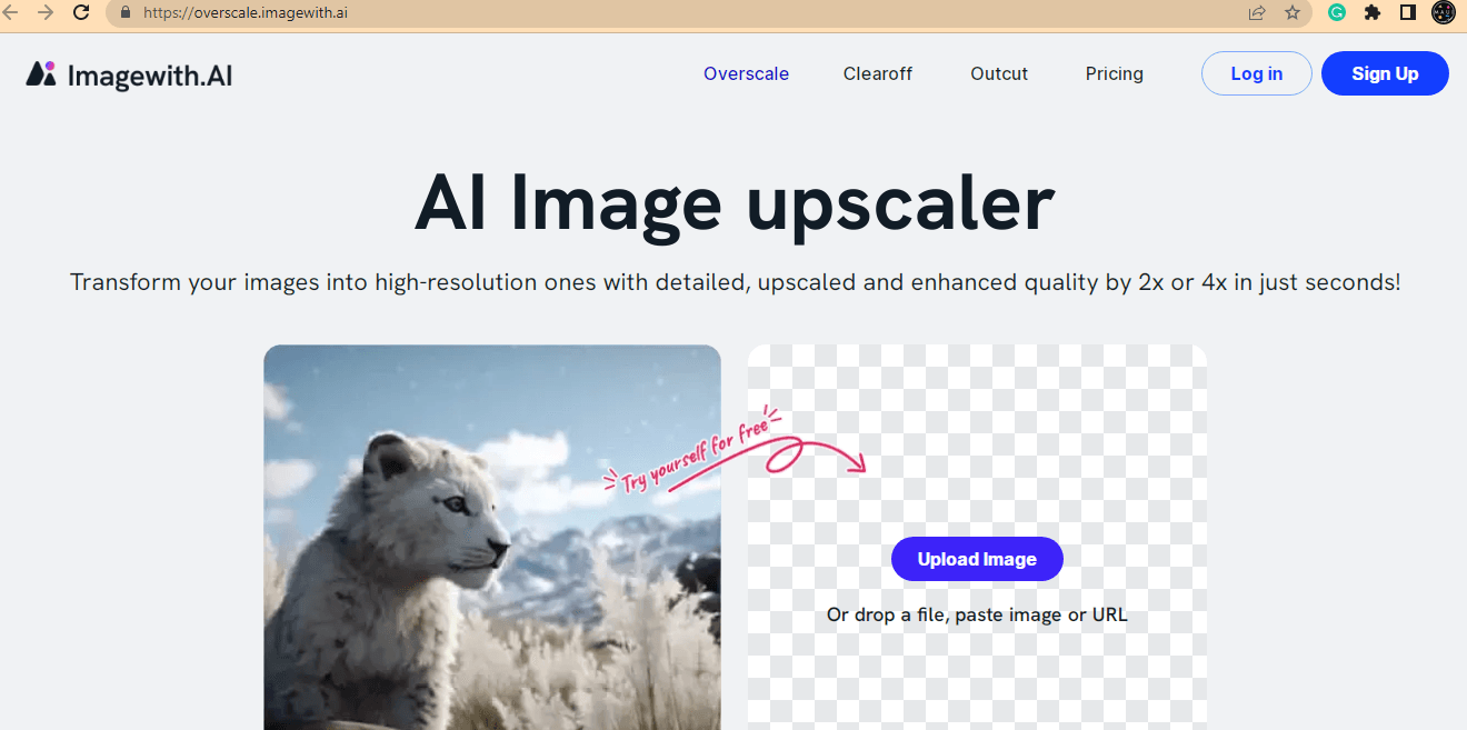 Imagewith.ai’s Overscale-the best AI Image Upscaler