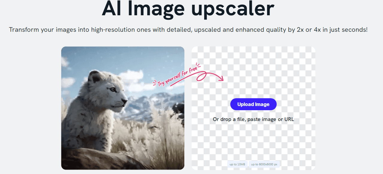 Imagewith.ai Overscale