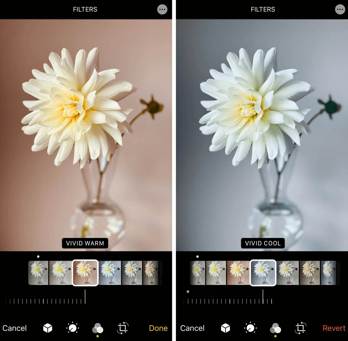 Select Vivid, Dramatic, and similar Filters to enhance your image