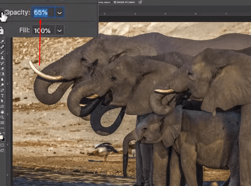 Increase the opacity percentage if you want to keep some shadow visibility for depth