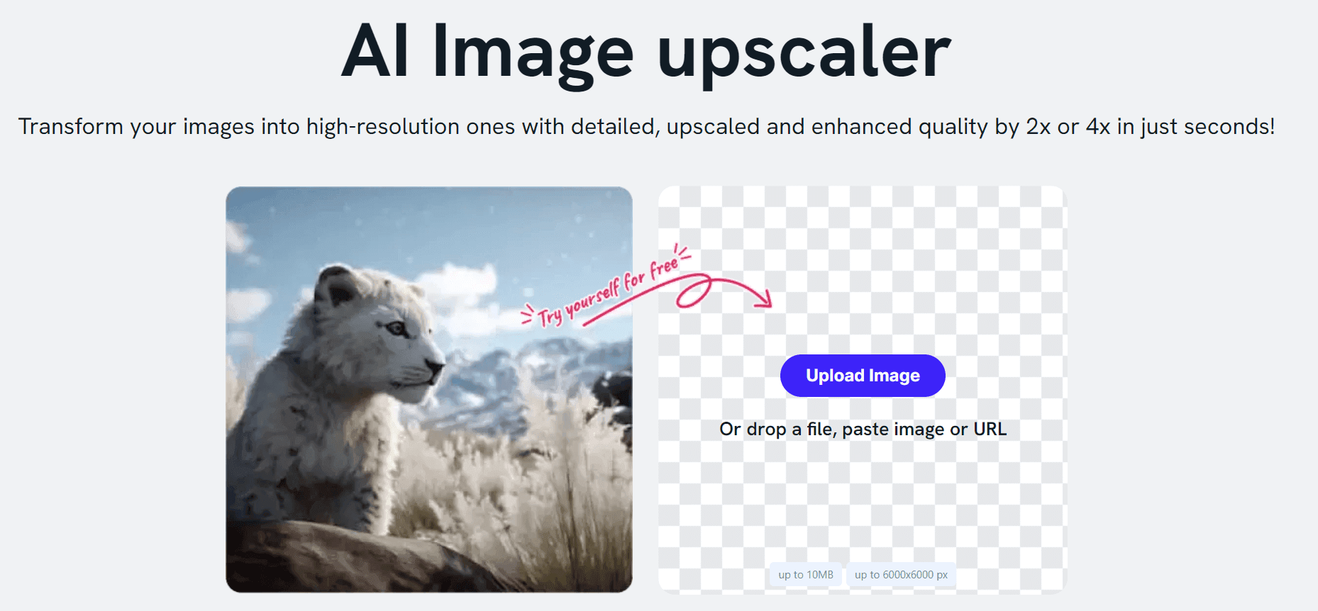 Imagewith.ai Overscale
