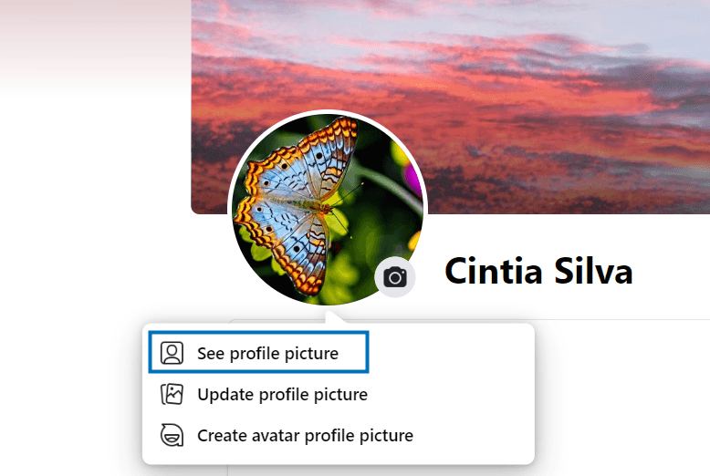 Choose See Profile Picture from the dialog
