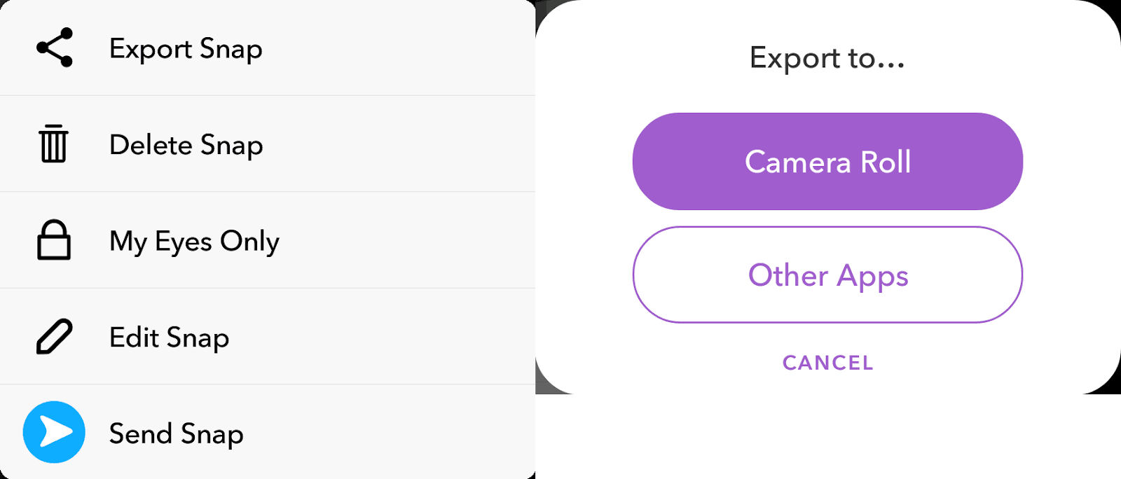 Save the snap with mobile device's dialog
