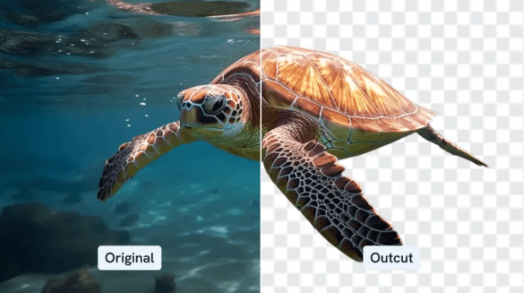 seamless results of Outcut by Imagewith.AI