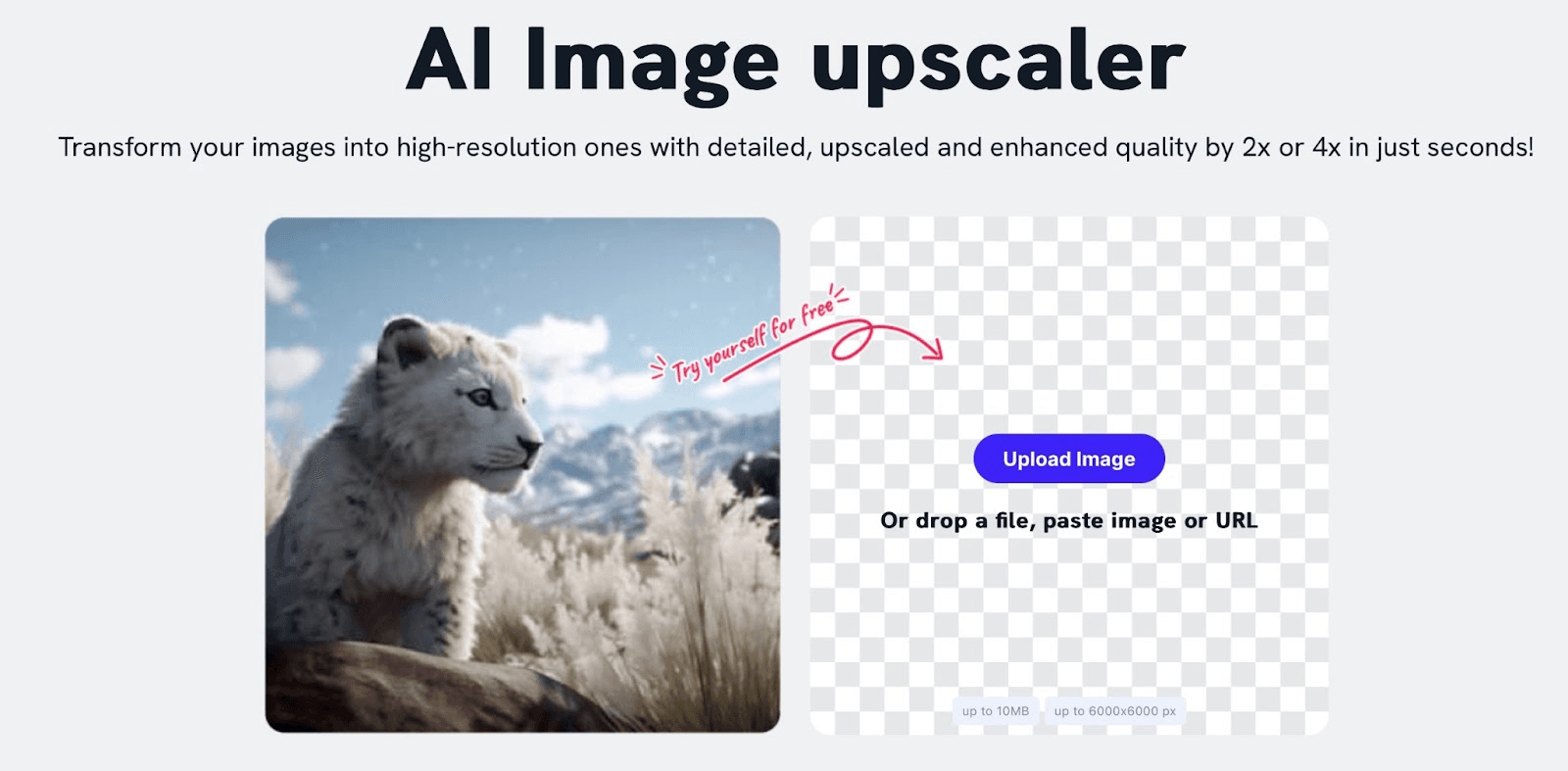 Imagewith.Ai’s Overscale feature