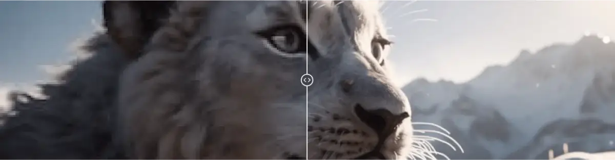 A photo of a snow leopard that has been upscaled through enhancement processing to make it clearer and more detailed.